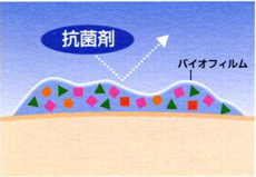 バイオフィルム